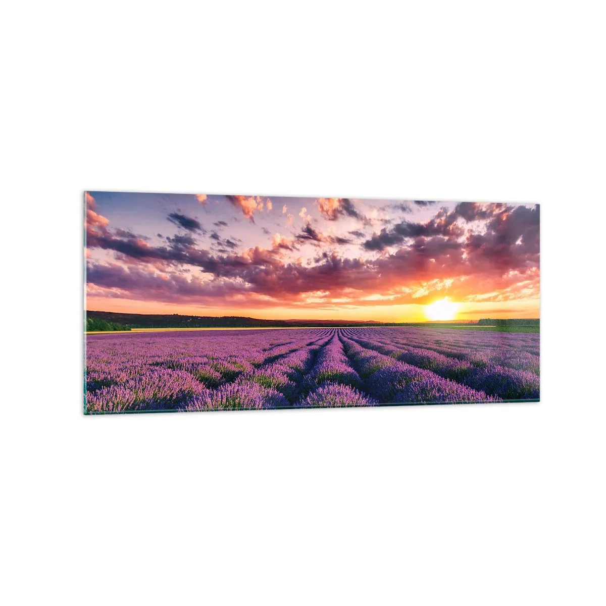 Glasbild - Bild auf glas - Ein Lavendelfeld bei Sonnenuntergang mit einem farbenfrohen Himmel - 120x50cm - Lavendel Welt - Moderne Wanddekoration für Wohnzimmer und Schlafzimmer ARTTOR