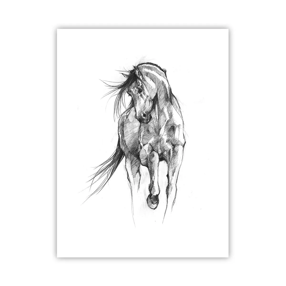 Poster - Im anmutigen Trab - 30x40 cm