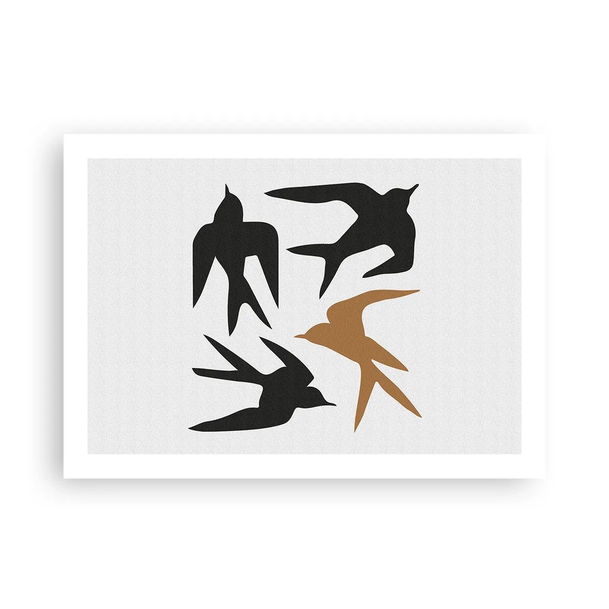 Poster - Schwalbenspaß - 70x50 cm