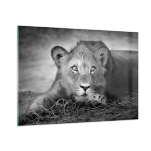Glasbild - Bild auf glas - Ein Löwenjunges in Schwarz und Weiß starrt in die Kamera - 100x70cm - Königlicher Welpe - Moderne Wanddekoration für Wohnzimmer und Schlafzimmer ARTTOR