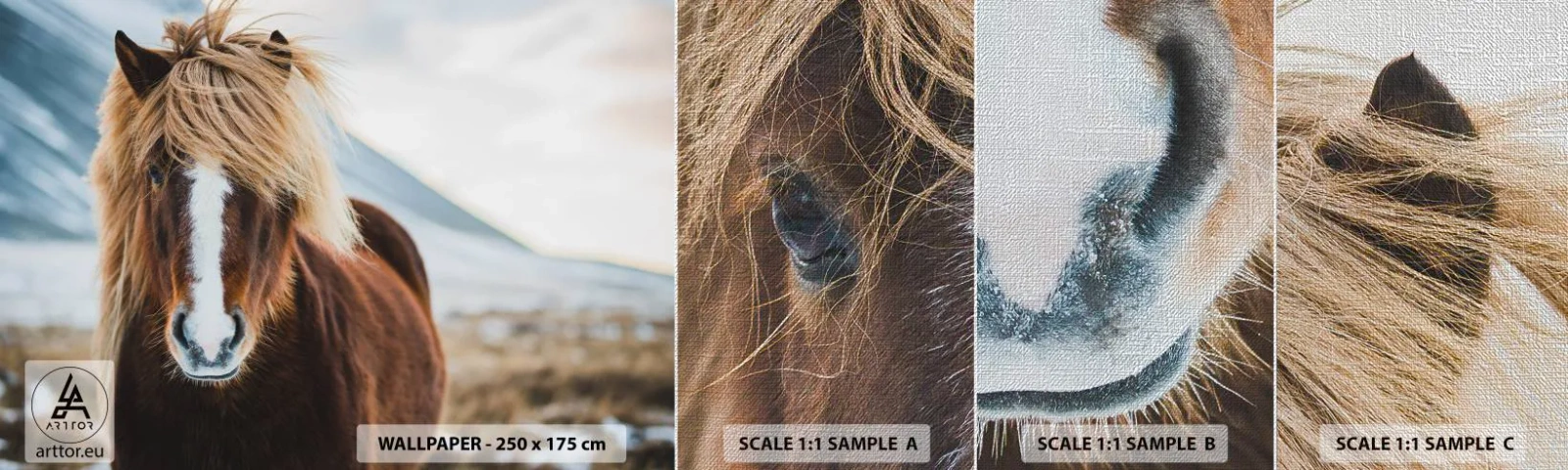 Fototapeten Muster Premium Canvas - Spürst du die Freiheit? - Pferd, Natur, Tiere - 100x30 cm