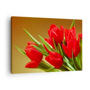 Bild auf Leinwand - Leinwandbild - Ein Strauß roter Tulpen auf goldenem Hintergrund mit grünen Blättern. - 70x50cm - Ein Haufen Frühlingsfreude - Moderne Wanddekoration für Wohnzimmer und Schlafzimmer ARTTOR