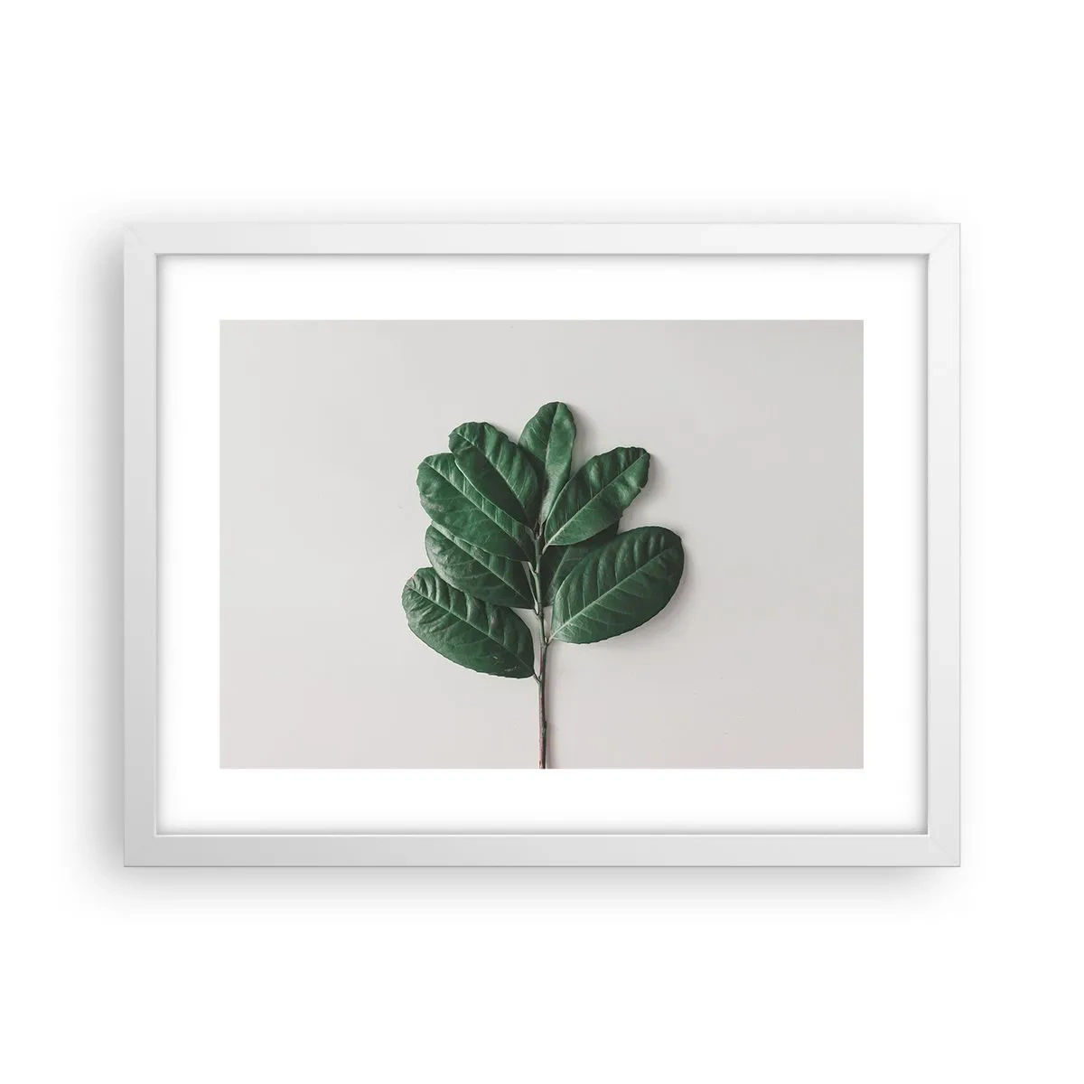 Poster in einem weißen Rahmen - Eine Zeichnung purer Natur - 40x30 cm