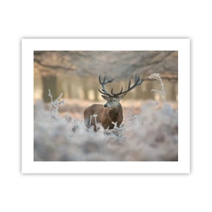 Poster - Ein flotter Morgen - 50x40 cm