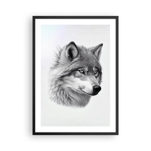Poster in einem schwarzem Rahmen - Ein realistisches Porträt eines Wolfes in Grautönen. - 50x70cm - Alpha – ohne Zweifel - Moderne Wanddekoration für Wohnzimmer und Schlafzimmer ARTTOR