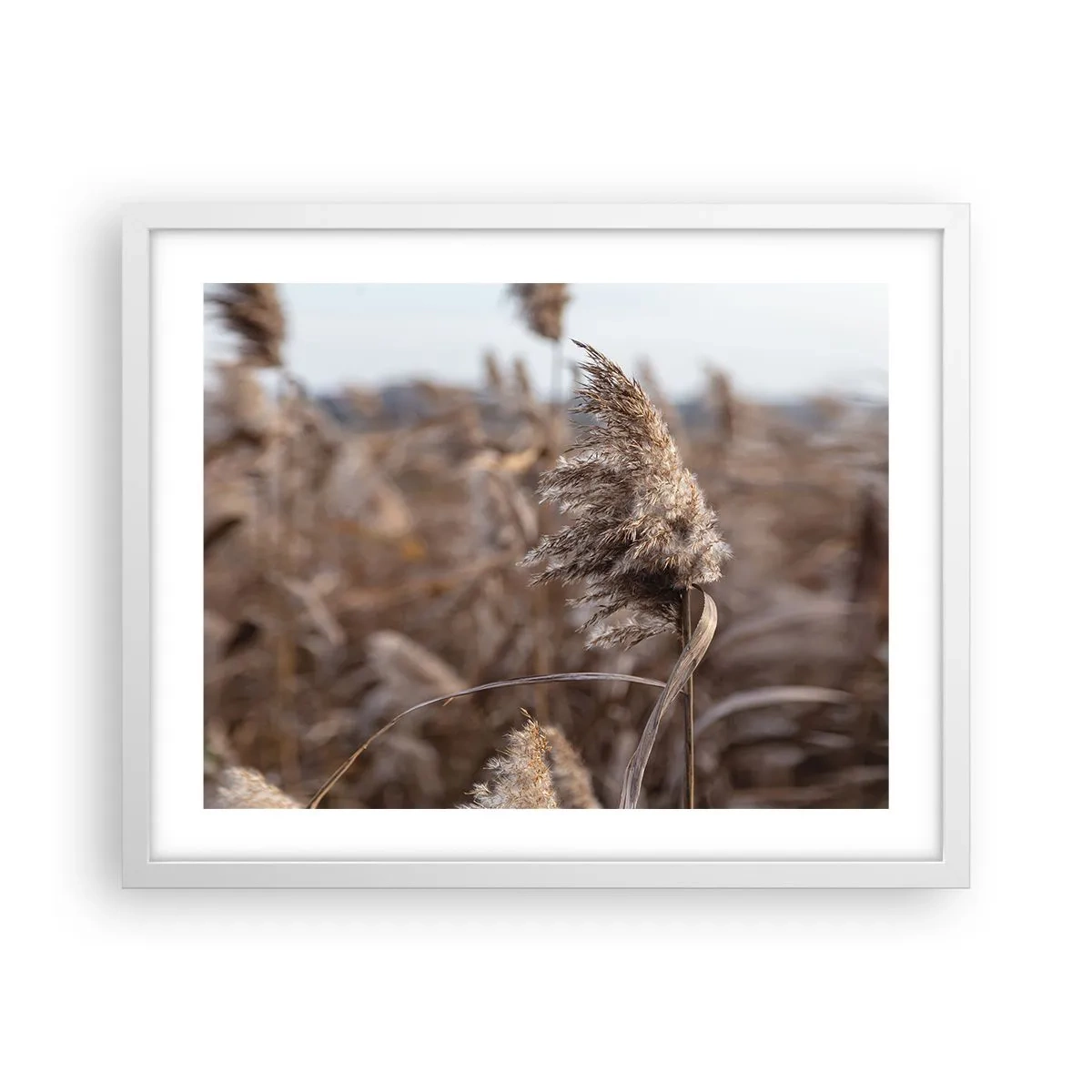 Poster in einem weißen Rahmen - Zeit, mit dem Wind zu gehen - 50x40 cm