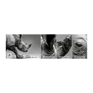 Fototapeten Muster Selbstklebend Deluxe Sticker - Unaufhaltsame Stärke - Nashorn, Tiere, Afrika - 100x30 cm