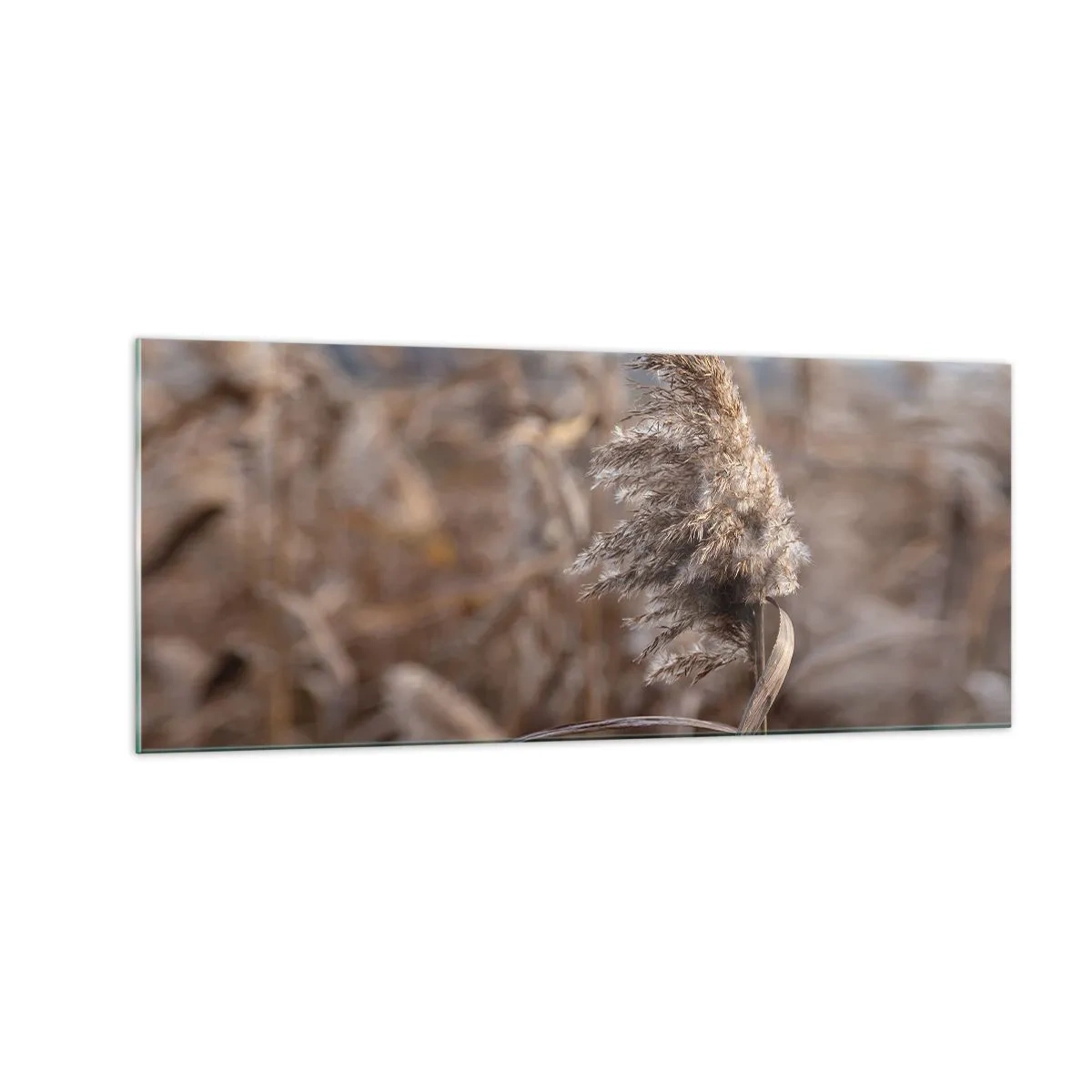 Glasbild - Bild auf glas - Zeit, mit dem Wind zu gehen - 100x40 cm