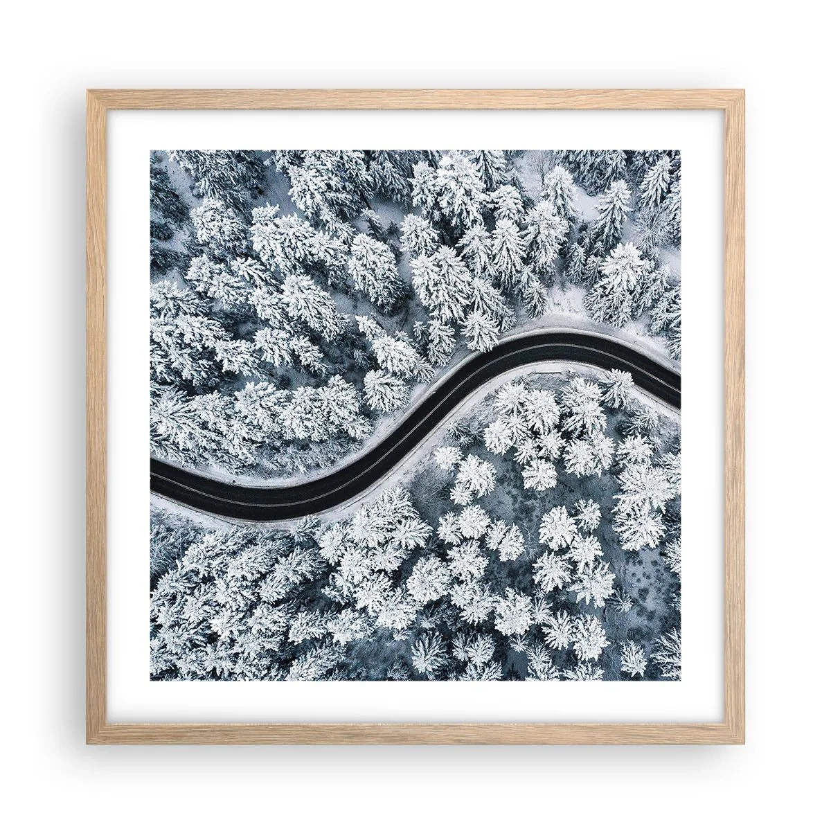 Poster in einem Rahmen aus heller Eiche - Durch den Winterwald - 50x50 cm