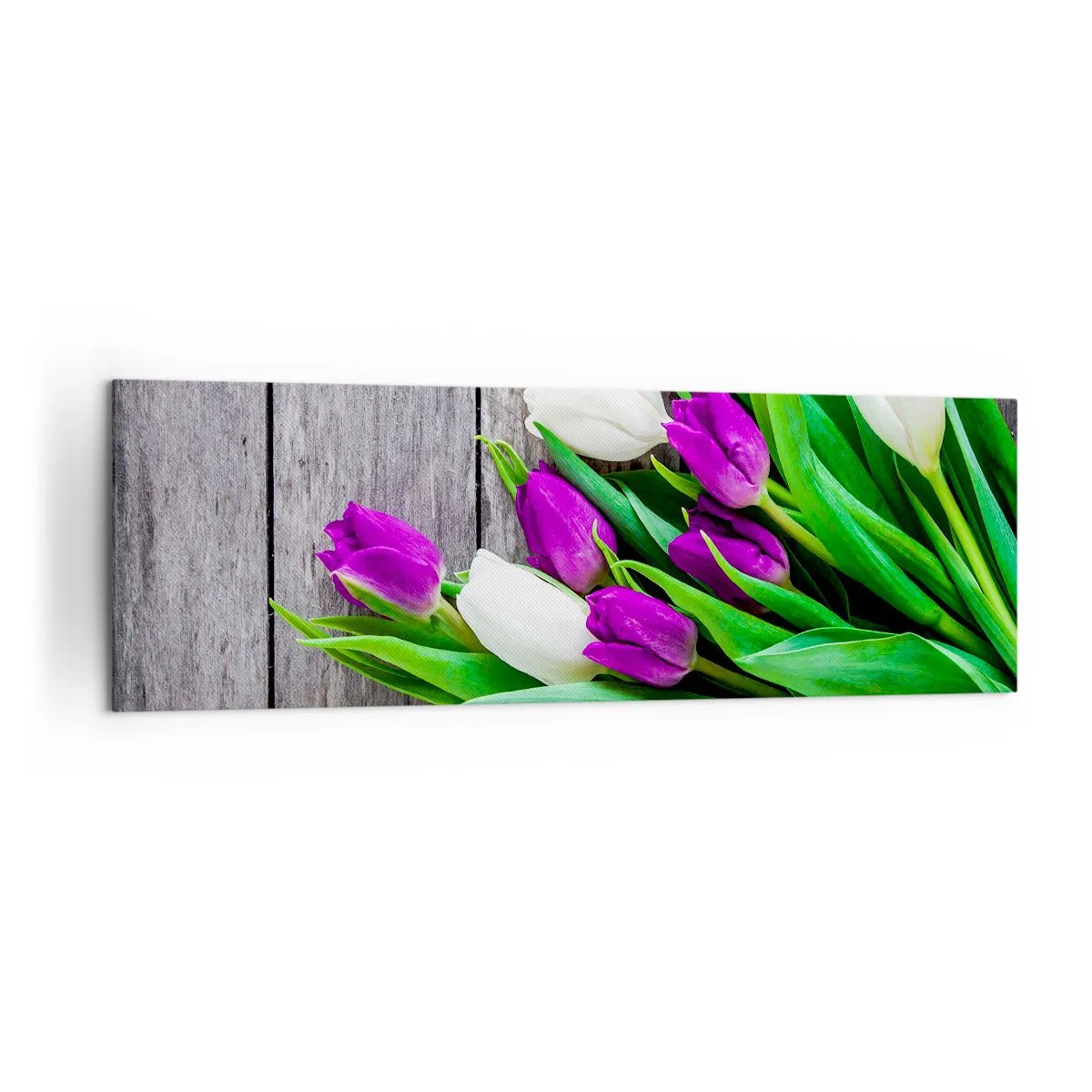 Bild auf Leinwand - Leinwandbild - Ein Strauß lila und weißer Tulpen auf einem hölzernen Hintergrund - 160x50cm - Am Tag der Frühlingsferien - Moderne Wanddekoration für Wohnzimmer und Schlafzimmer ARTTOR