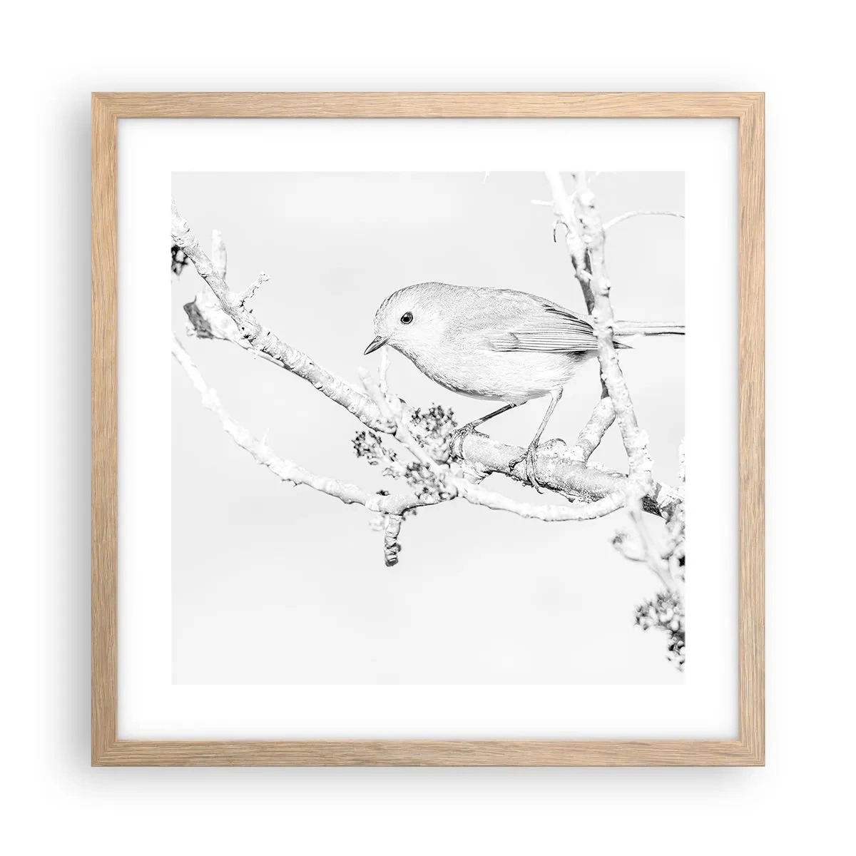 Poster in einem Rahmen aus heller Eiche - Wintermorgen - 40x40 cm