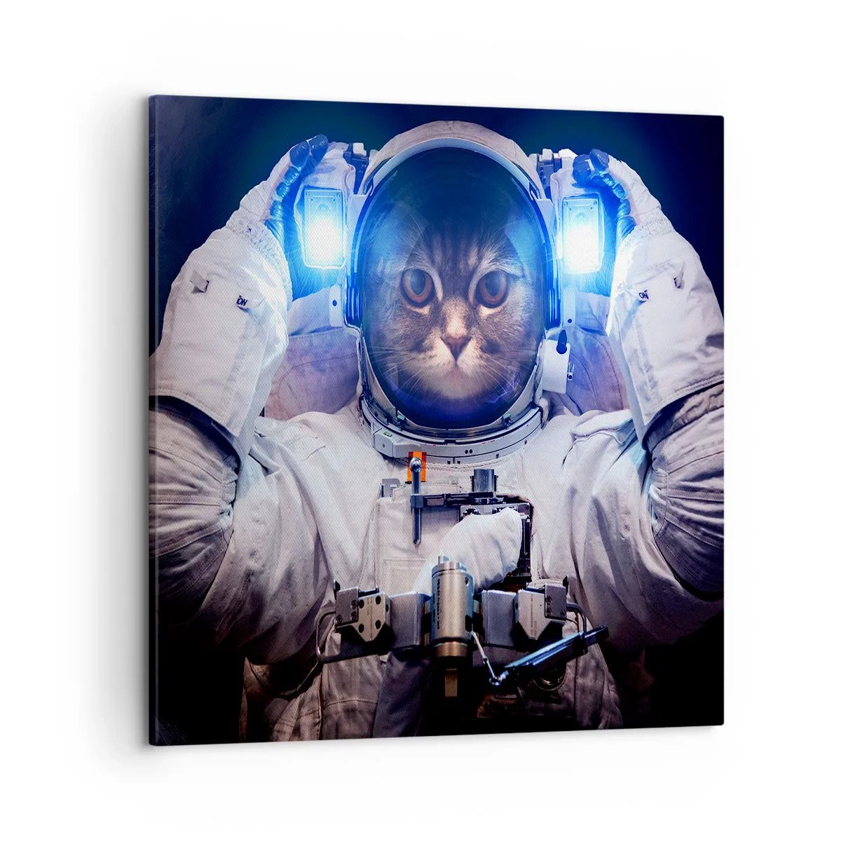 Bild auf Leinwand - Leinwandbild - Houston, du hast ein Problem - 50x50 cm