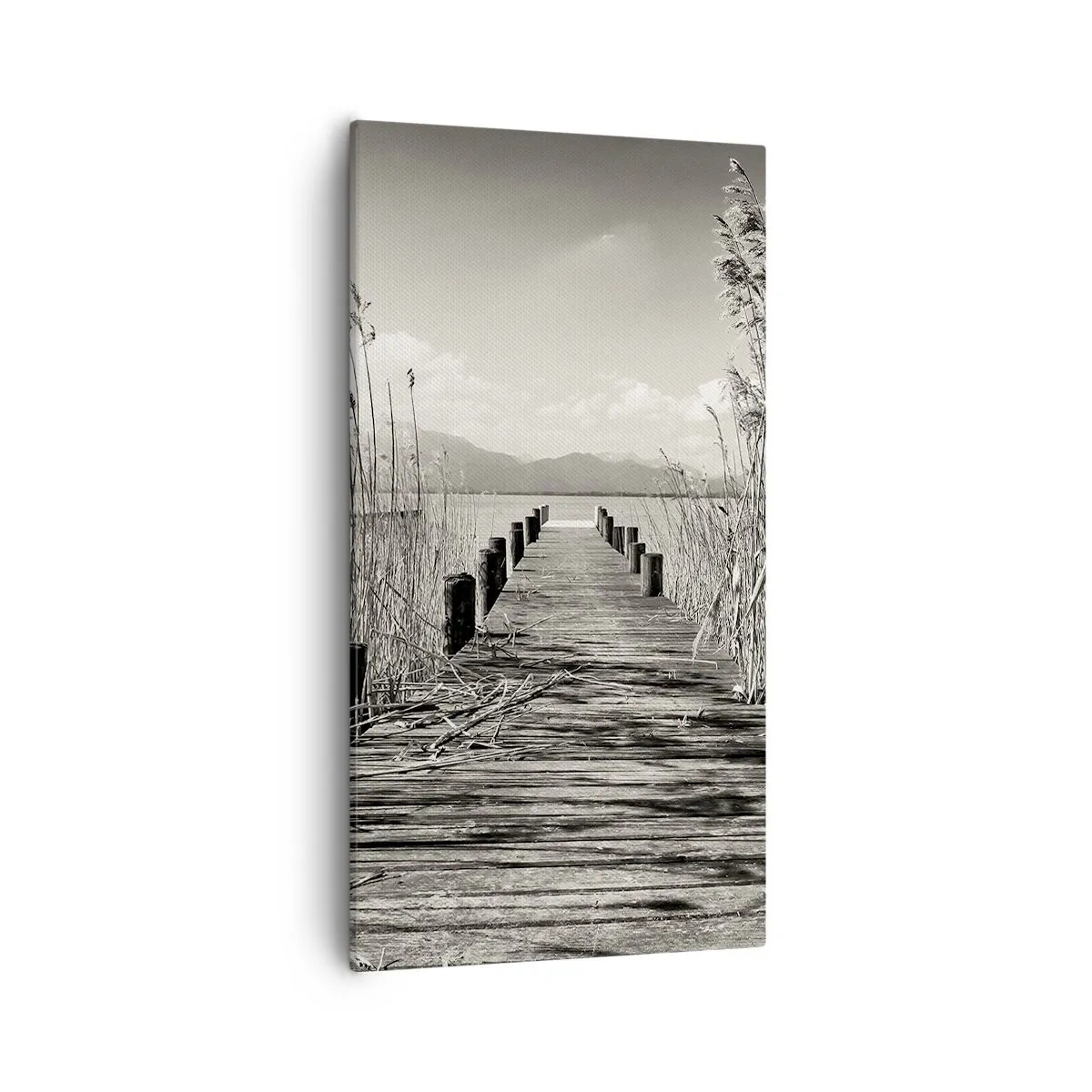 Bild auf Leinwand - Leinwandbild - In der Stille des Grases - 55x100 cm