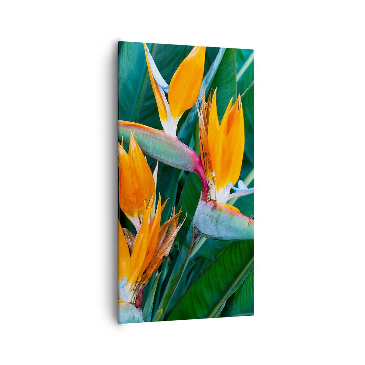 Bild auf Leinwand - Leinwandbild - Ist es eine Blume oder ist es ein Vogel? - 65x120 cm