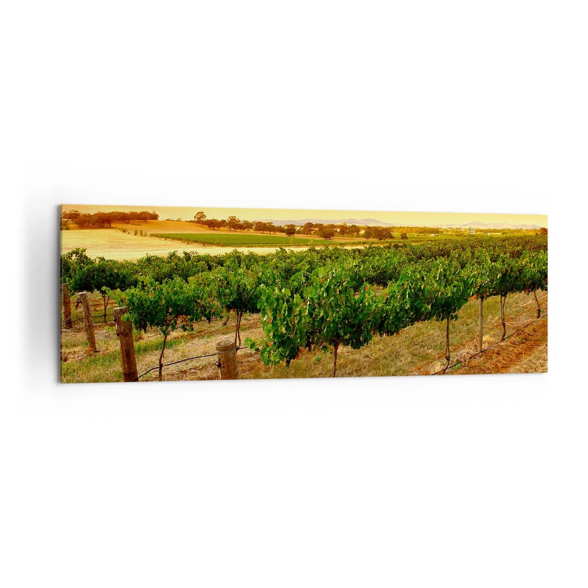 Bild auf Leinwand - Leinwandbild - Weinreben auf einer Plantage bei einem goldenen Sonnenuntergang - 160x50cm - Holen Sie sich einen Drink von der Sonne - Moderne Wanddekoration für Wohnzimmer und Schlafzimmer ARTTOR