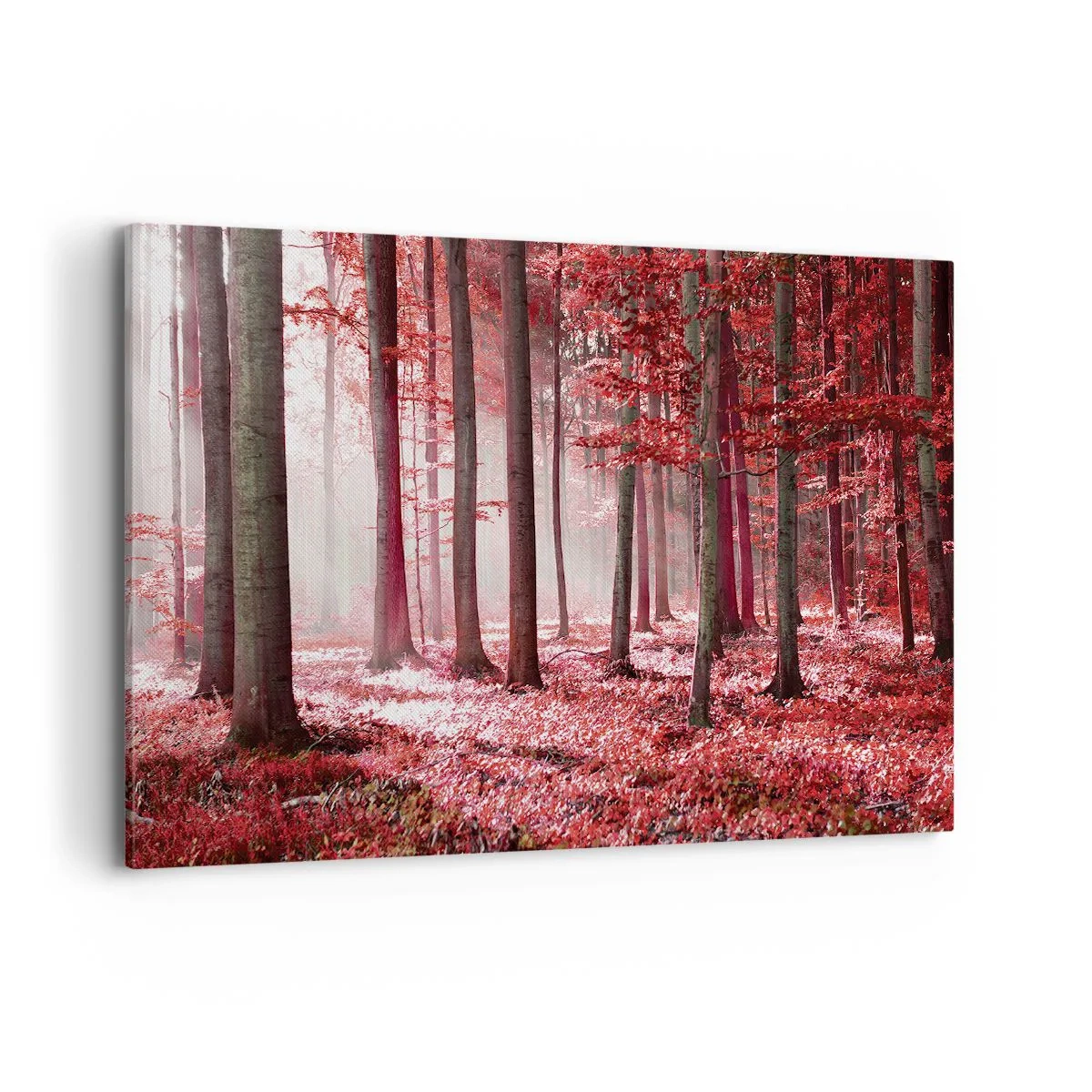 Bild auf Leinwand - Leinwandbild - Ein atemberaubender Wald in roten Farbtönen mit Lichtstrahlen, die durch die Bäume dringen - 120x80cm - Rot ist genauso schön - Moderne Wanddekoration für Wohnzimmer und Schlafzimmer ARTTOR