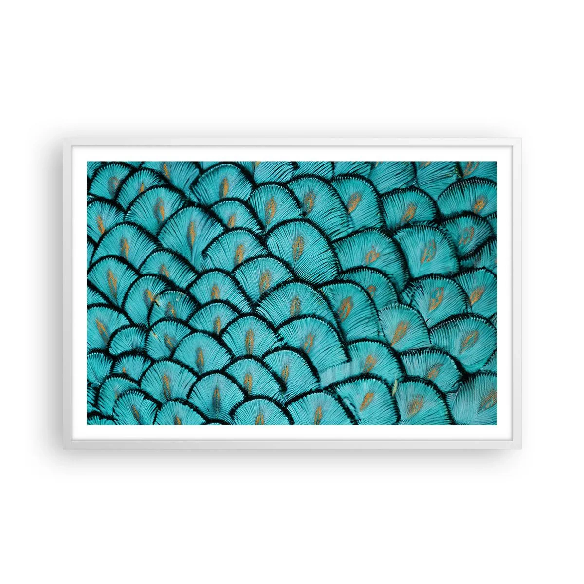 Poster in einem weißen Rahmen - Große Federgala - 91x61 cm