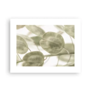 Poster - Am Anfang waren Blätter... - 40x30 cm