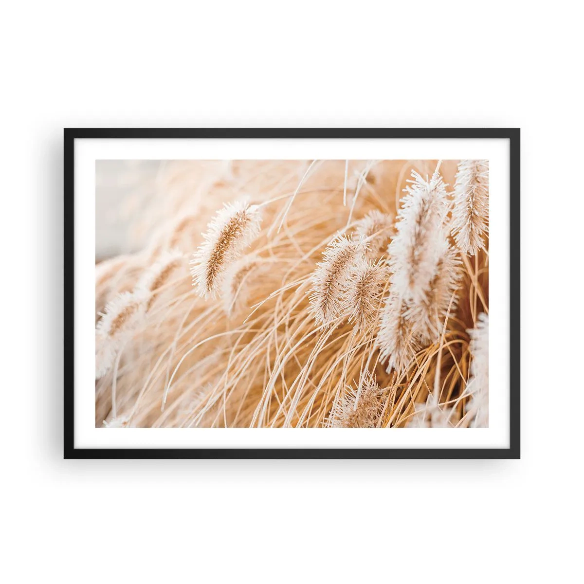 Poster in einem schwarzem Rahmen - Nahaufnahme von goldenen, zarten Gräsern im Sonnenlicht - 70x50cm - Das goldene Rauschen des Grases - Moderne Wanddekoration für Wohnzimmer und Schlafzimmer ARTTOR