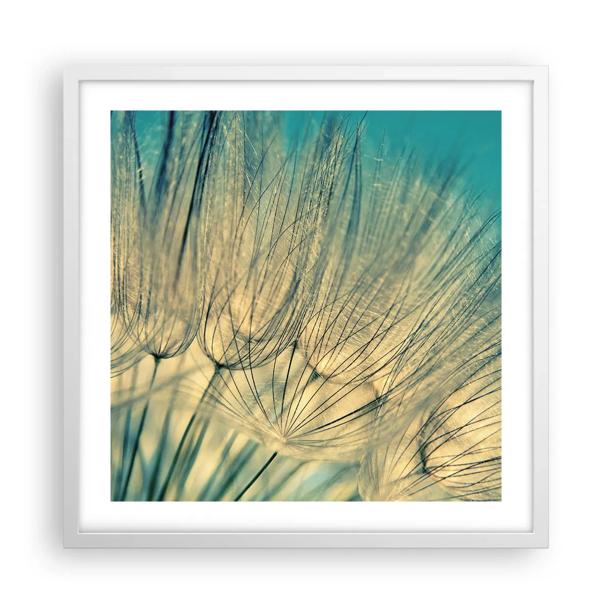 Poster in einem weißen Rahmen - In Erwartung des Windes - 50x50 cm