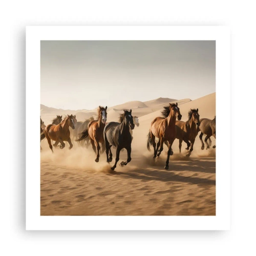 Poster - Frei wie der Wind - 50x50 cm