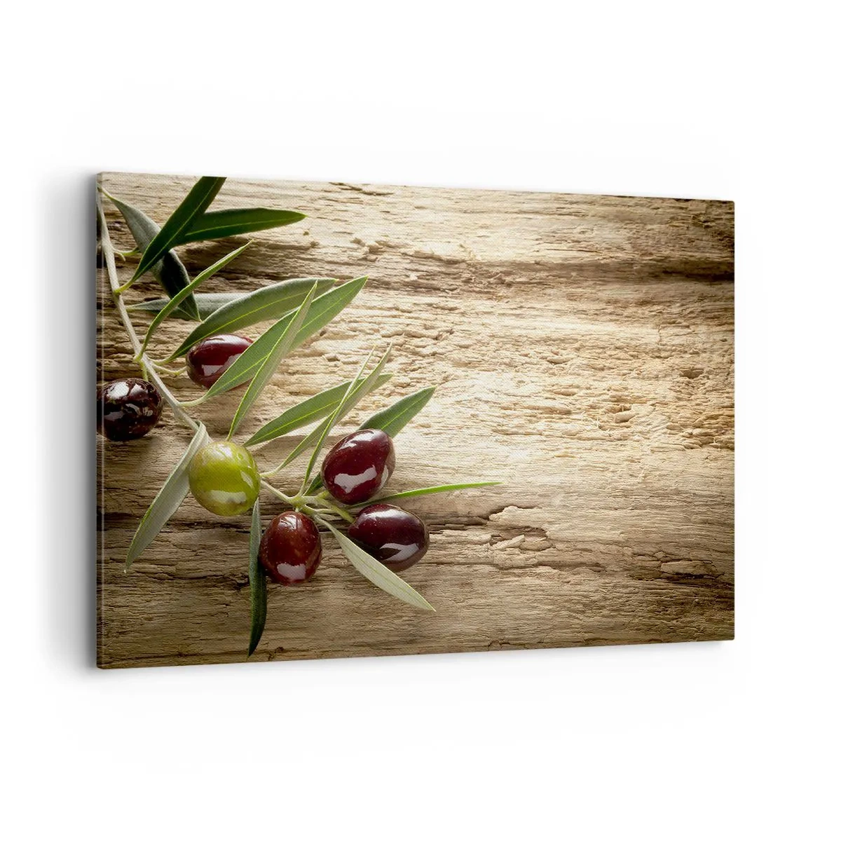 Bild auf Leinwand - Leinwandbild - Olivenzweig mit Früchten auf einem Hintergrund aus gealtertem Holz - 100x70cm - Direkt aus der Natur - Moderne Wanddekoration für Wohnzimmer und Schlafzimmer ARTTOR
