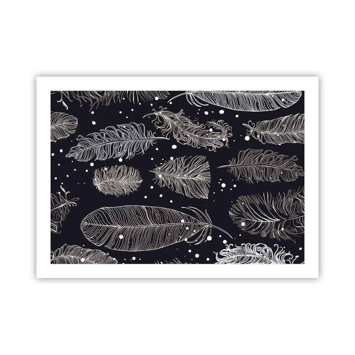 Poster - Gefiederte Spitze - 70x50 cm