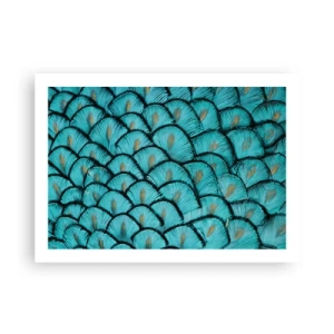 Poster - Große Federgala - 70x50 cm