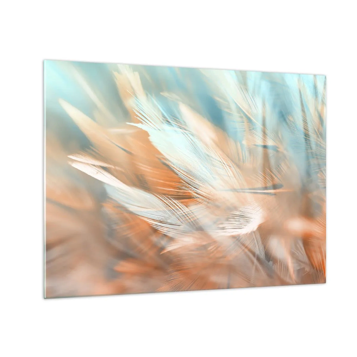 Glasbild - Bild auf glas - Zarte Federn in Pastelltönen von Türkis und Pfirsich - 70x50cm - Im Land der Sanftmut - Moderne Wanddekoration für Wohnzimmer und Schlafzimmer ARTTOR