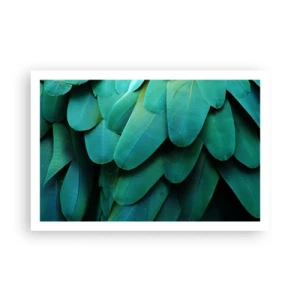 Poster - Papageienartige Präzision - 91x61 cm