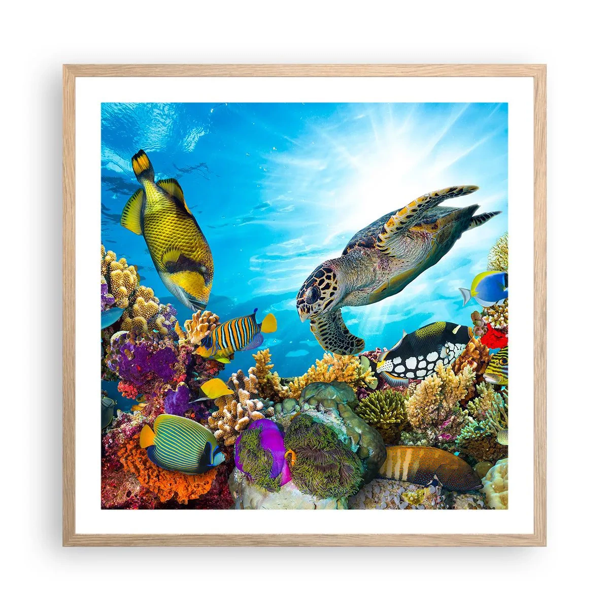 Poster in einem Rahmen aus heller Eiche - Korallenpromenade - 60x60 cm