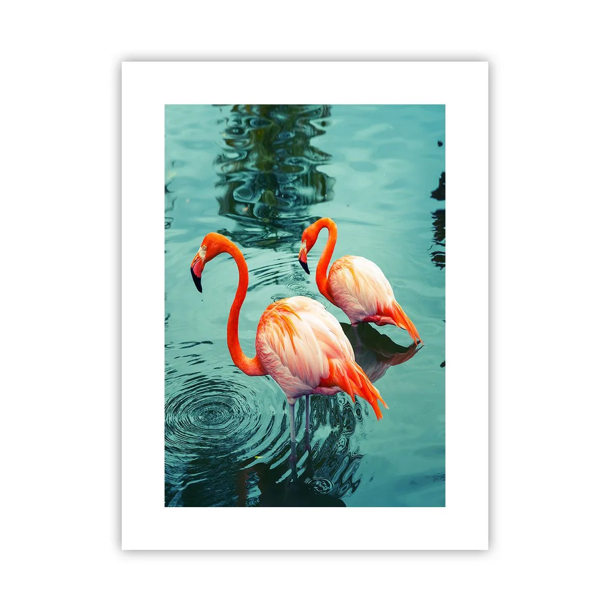 Poster - Wir sind jetzt in Mode - 30x40 cm