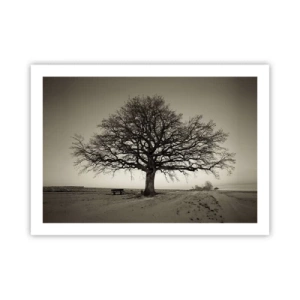 Poster - Von hier zu Ewigkeit - 70x50 cm