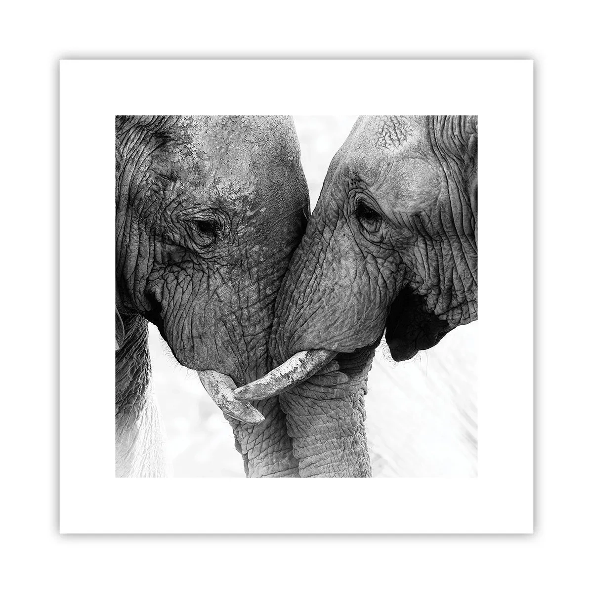 Poster - Herzliches Geständnis - 30x30 cm