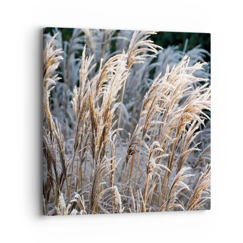Bild auf Leinwand - Leinwandbild - Gekleidet mit Frost - 30x30 cm