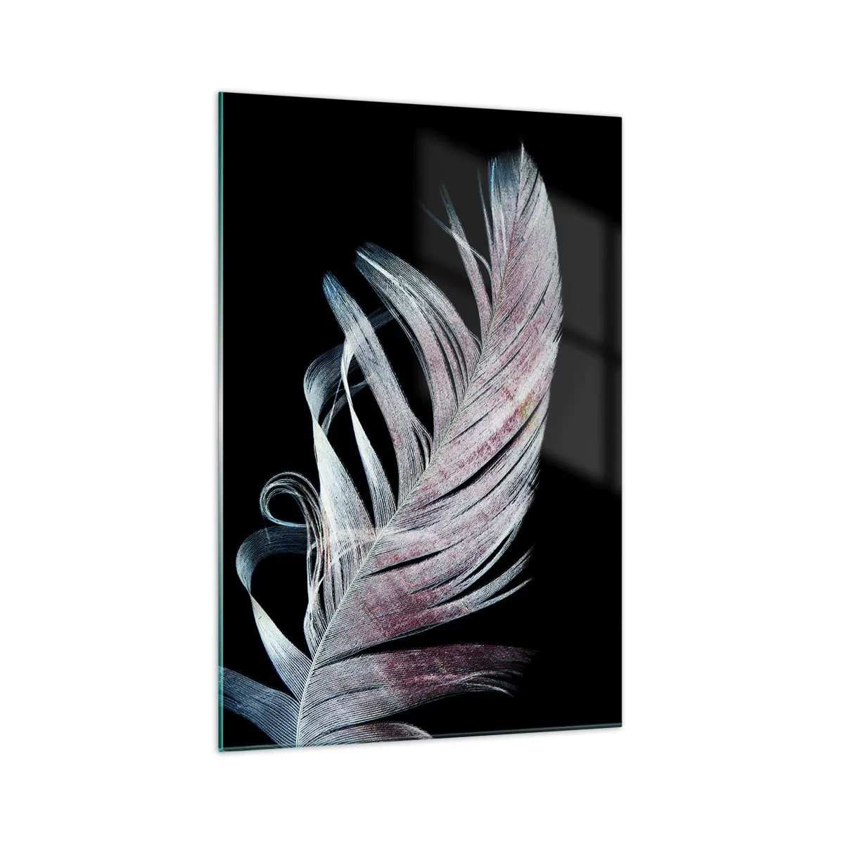 Glasbild - Bild auf glas - Eine zarte Feder auf schwarzem Hintergrund in einem künstlerischen Ansatz - 70x100cm - Denke an Berührung - Moderne Wanddekoration für Wohnzimmer und Schlafzimmer ARTTOR