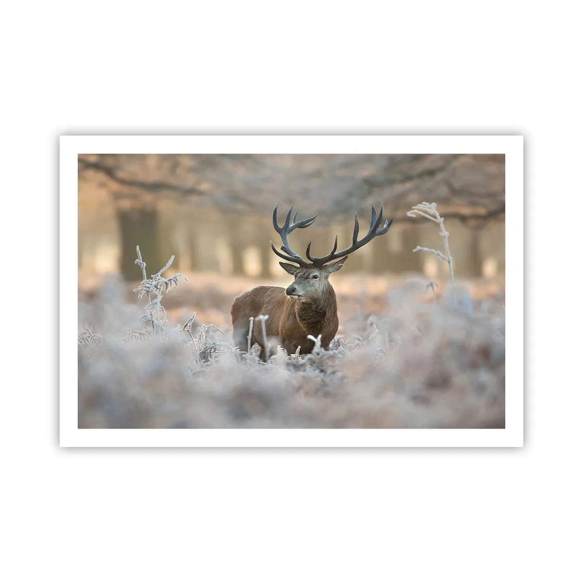 Poster - Ein flotter Morgen - 91x61 cm