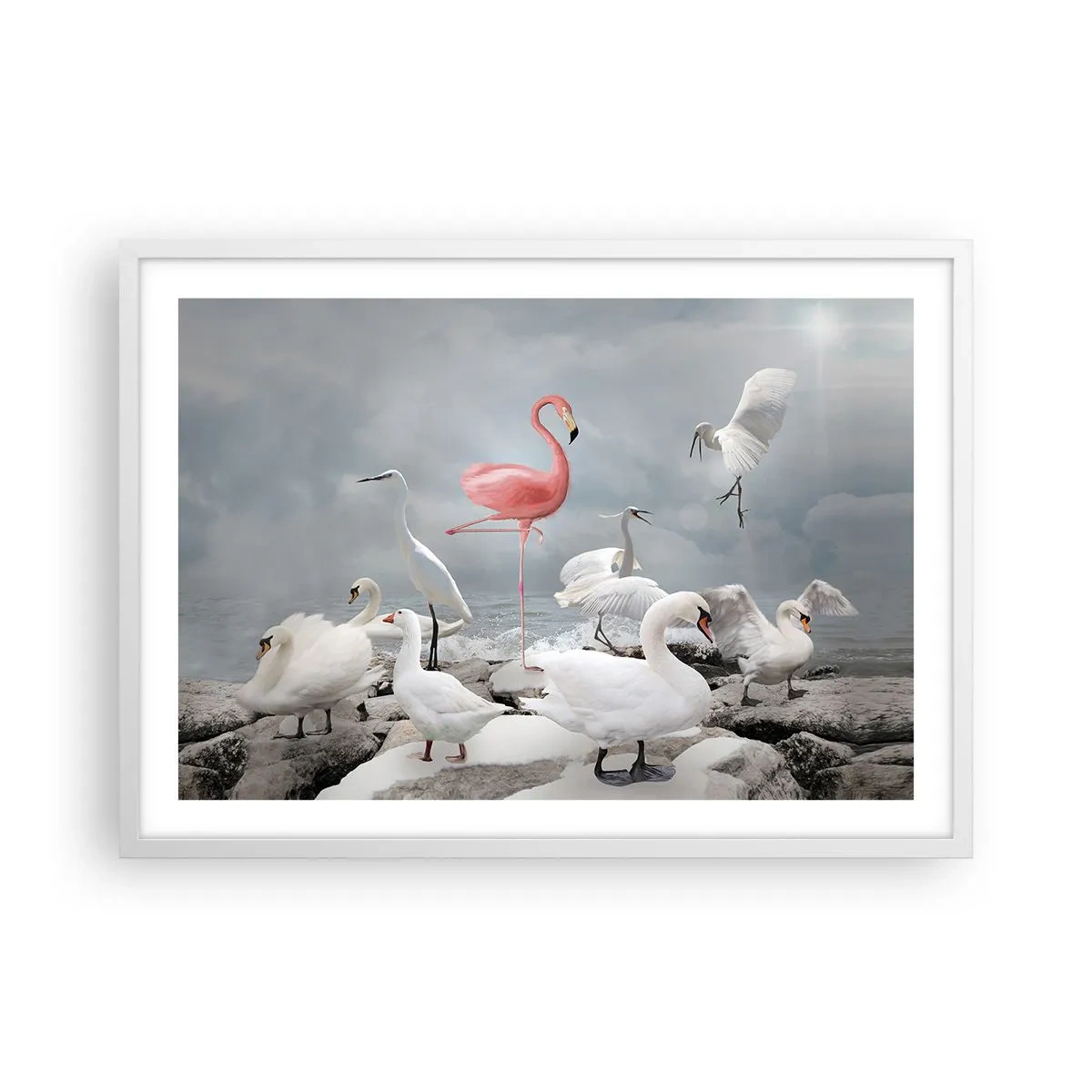 Poster in einem weißen Rahmen - Wie kam ich hier hin? - 70x50 cm