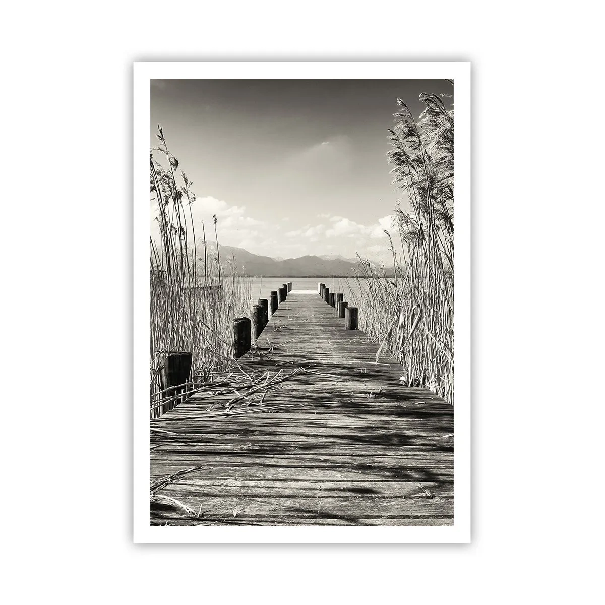 Poster - In der Stille des Grases - 70x100 cm