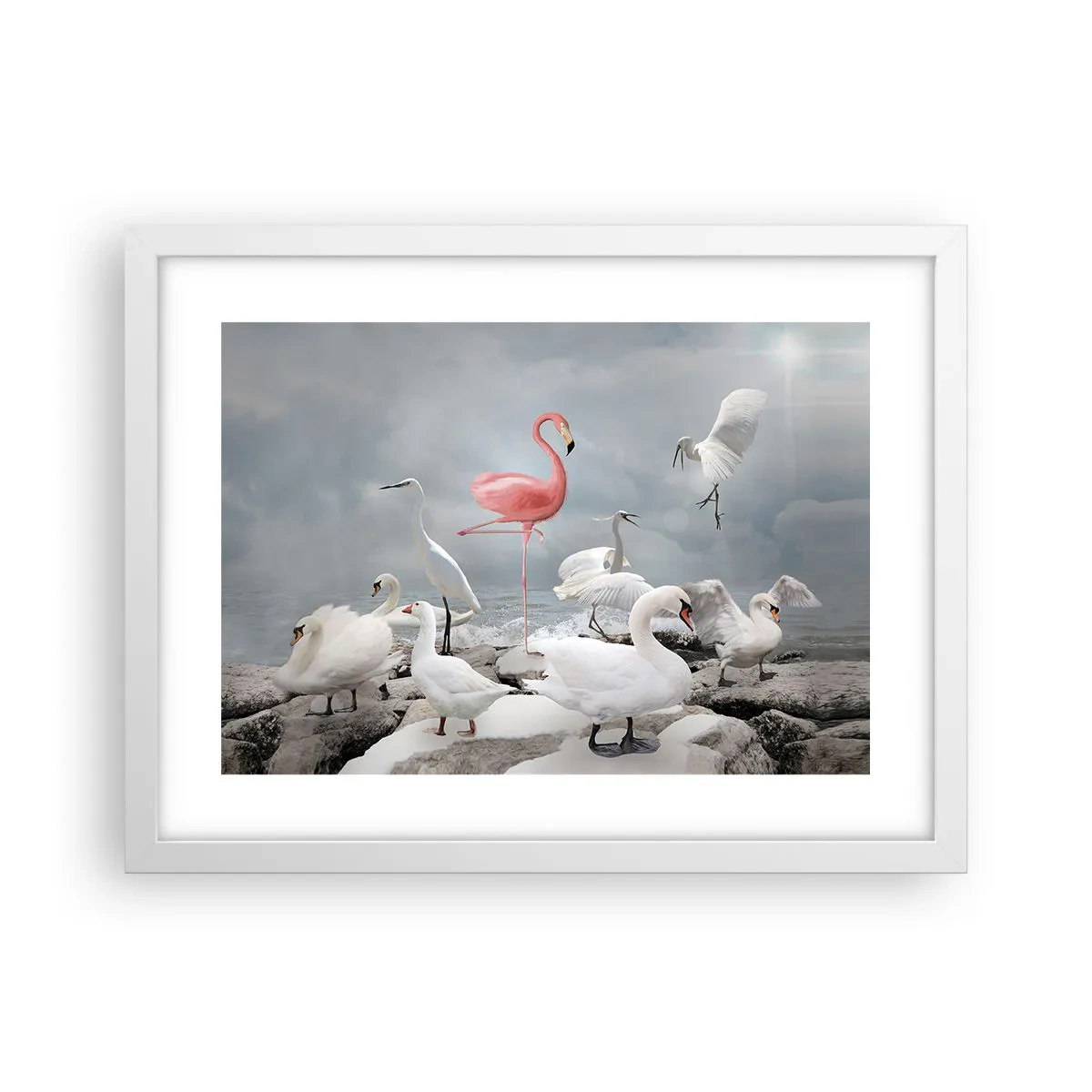 Poster in einem weißen Rahmen - Wie kam ich hier hin? - 40x30 cm