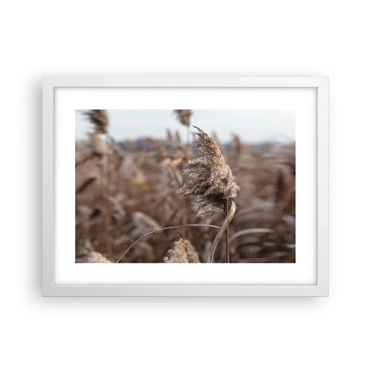 Poster in einem weißen Rahmen - Zeit, mit dem Wind zu gehen - 40x30 cm