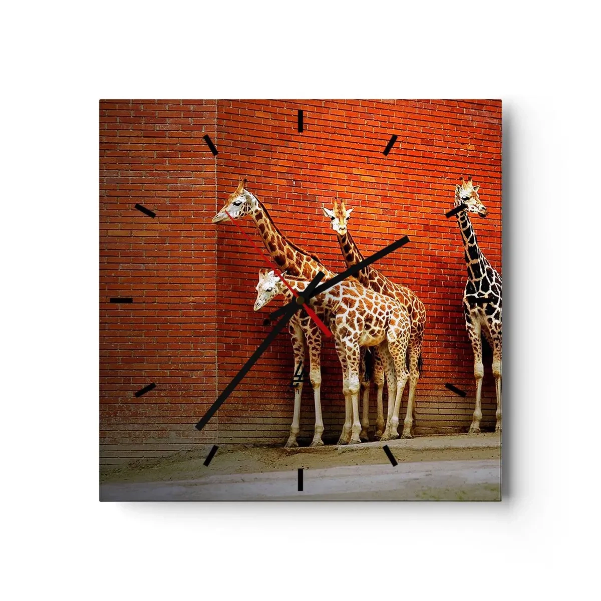 Wanduhr - Glasuhr - Vier Giraffen vor einer Ziegelwand in künstlerischer Umgebung - 30x30cm - Sehen Sie Akazien? - Moderne Wanddekoration für Wohnzimmer und Schlafzimmer ARTTOR