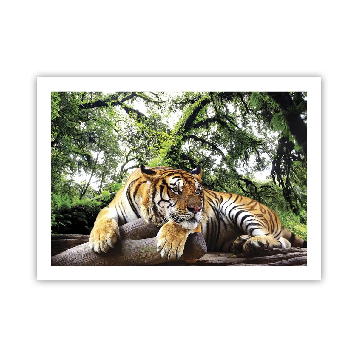 Poster - Hochachtungsvoll - 70x50 cm