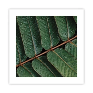 Poster - Im grünen Rhythmus - 40x40 cm