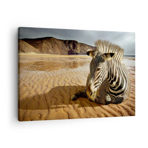Bild auf Leinwand - Leinwandbild - Ein Zebra ruht sich an einem Sandstrand mit Klippen im Hintergrund aus. - 70x50cm - Wir passen zusammen - Moderne Wanddekoration für Wohnzimmer und Schlafzimmer ARTTOR