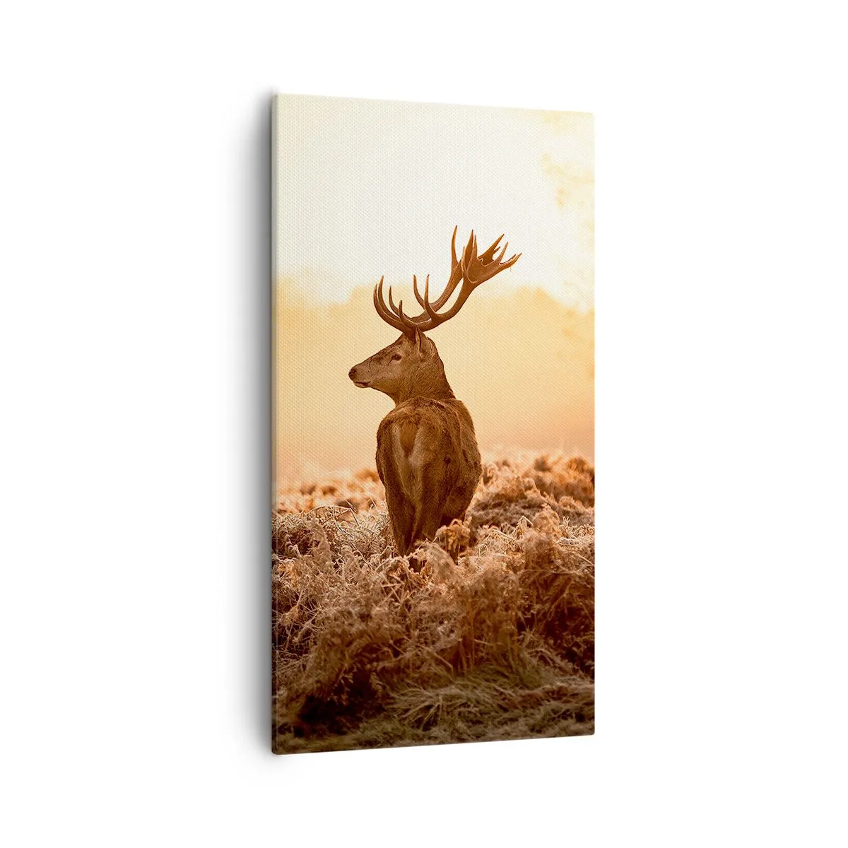 Bild auf Leinwand - Leinwandbild - Herr im eigenen Land - 55x100 cm