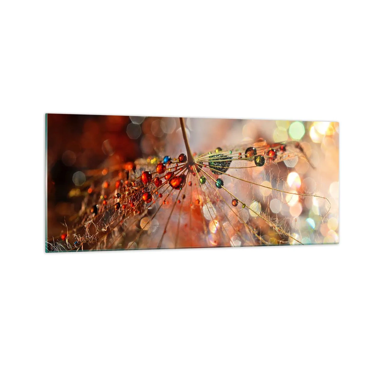 Glasbild - Bild auf glas - Auf einem Spinnenfaden aufgefädelt - 100x40 cm