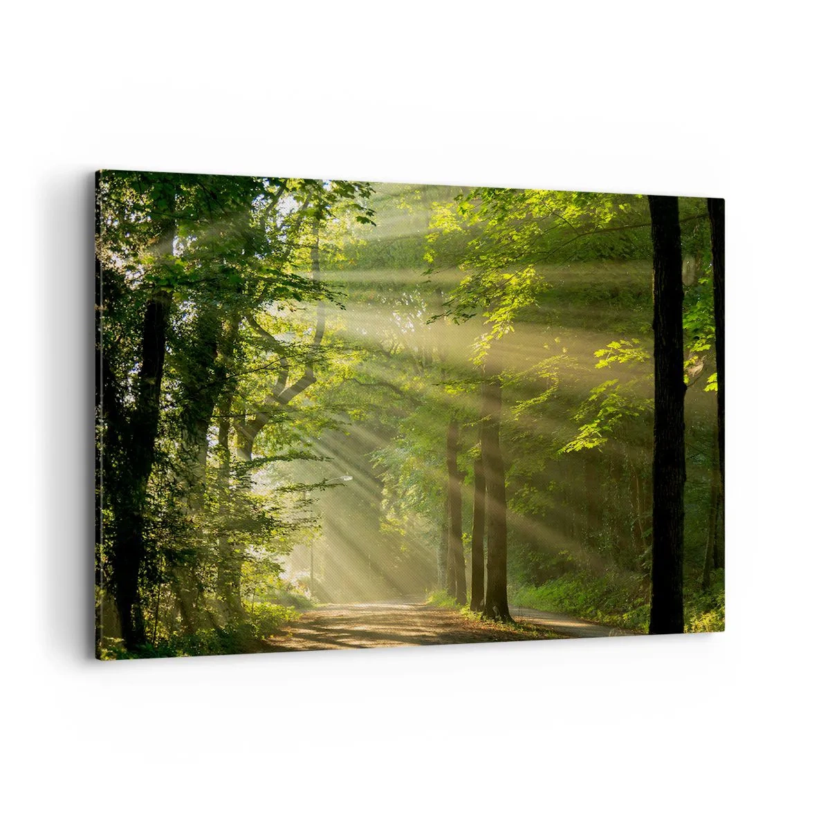 Bild auf Leinwand - Leinwandbild - Waldweg mit Sonnenstrahlen, die durch die Bäume scheinen - 100x70cm - Waldmoment - Moderne Wanddekoration für Wohnzimmer und Schlafzimmer ARTTOR