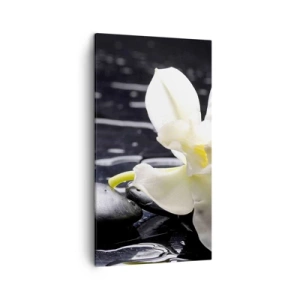 Bild auf Leinwand - Leinwandbild - Eine Studie in Schwarzweiß - 45x80 cm