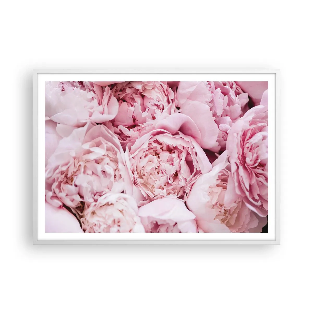 Poster in einem weißen Rahmen - Anschmiegsam und duftend - 100x70 cm